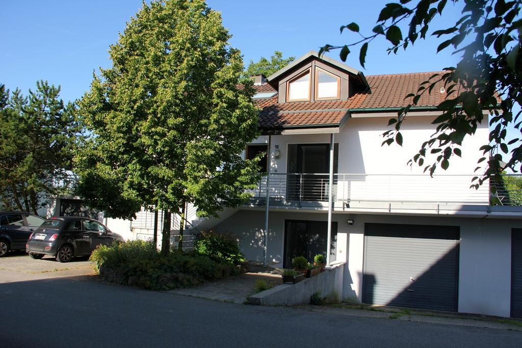 Ferienwohnung Bluetenweg Kluftern Friedrichshafen Dış mekan fotoğraf